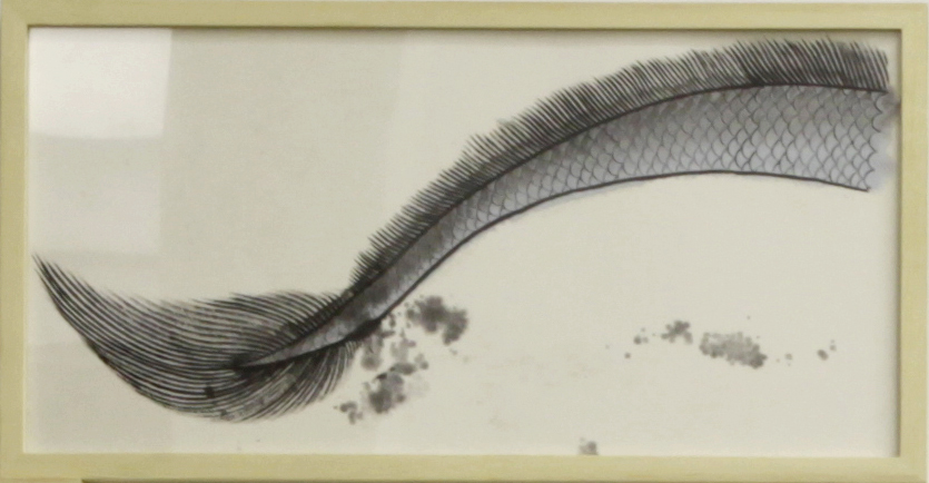 Framed: 32x61.5x3cm