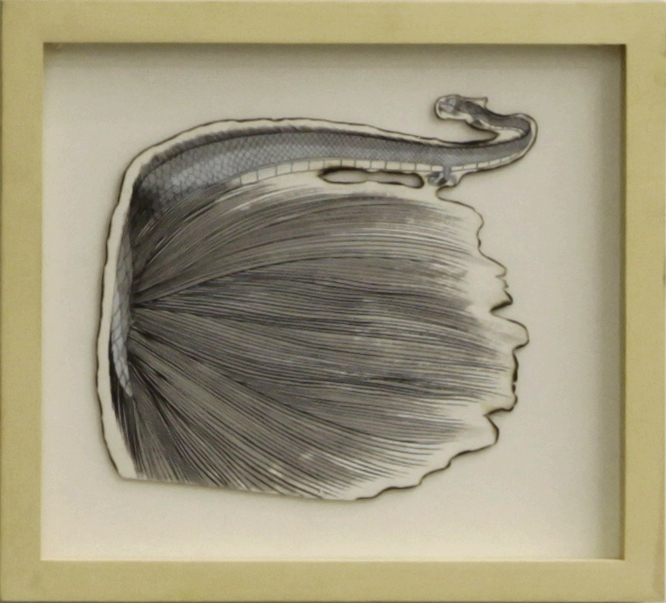 Framed: 43x47.5x4.5cm