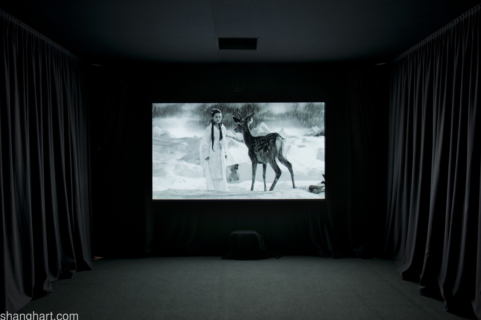 Installation view of 