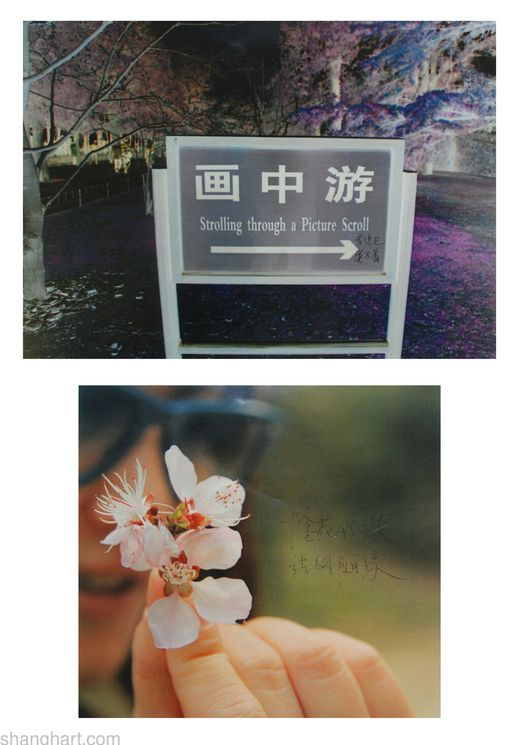 The Face of Facebook 20, C-print, 21x29.7cmx2pcs