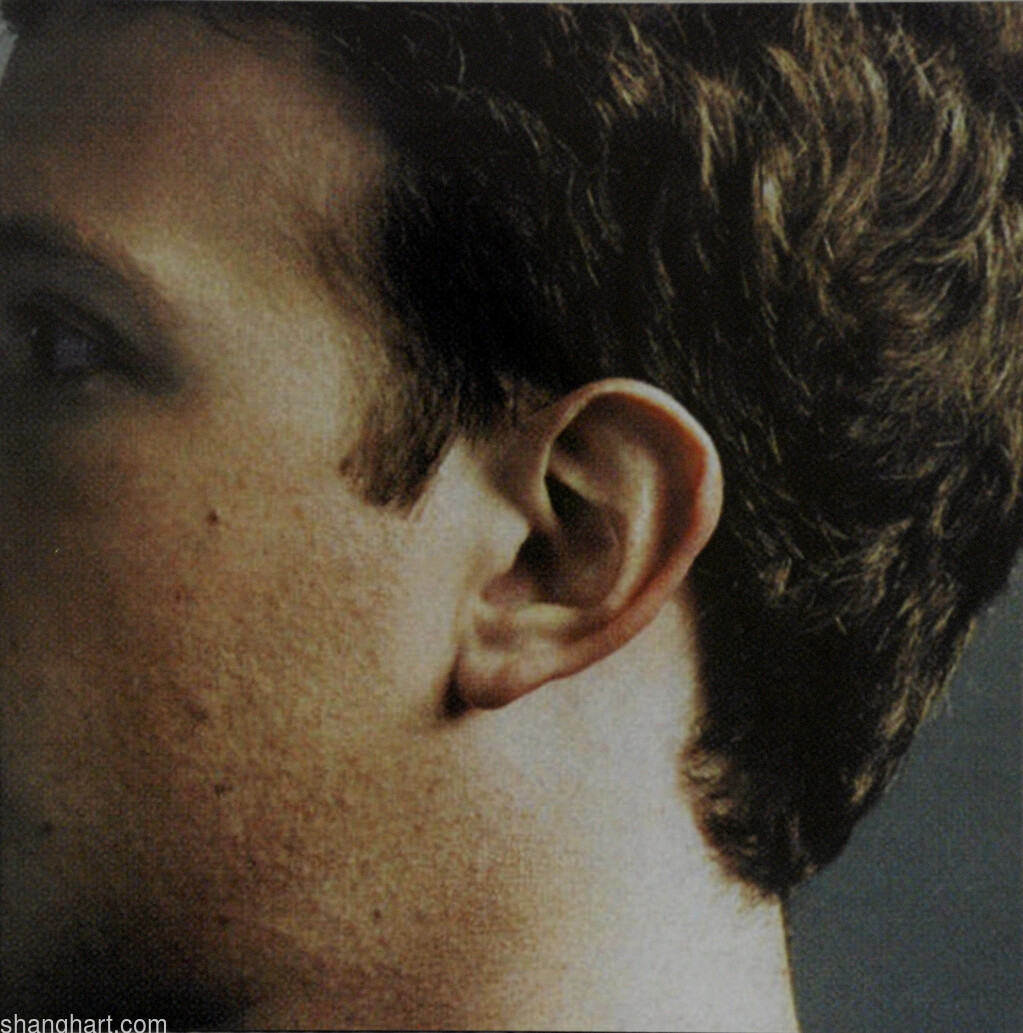 The face of facebook 56, C-print, 30x30cm