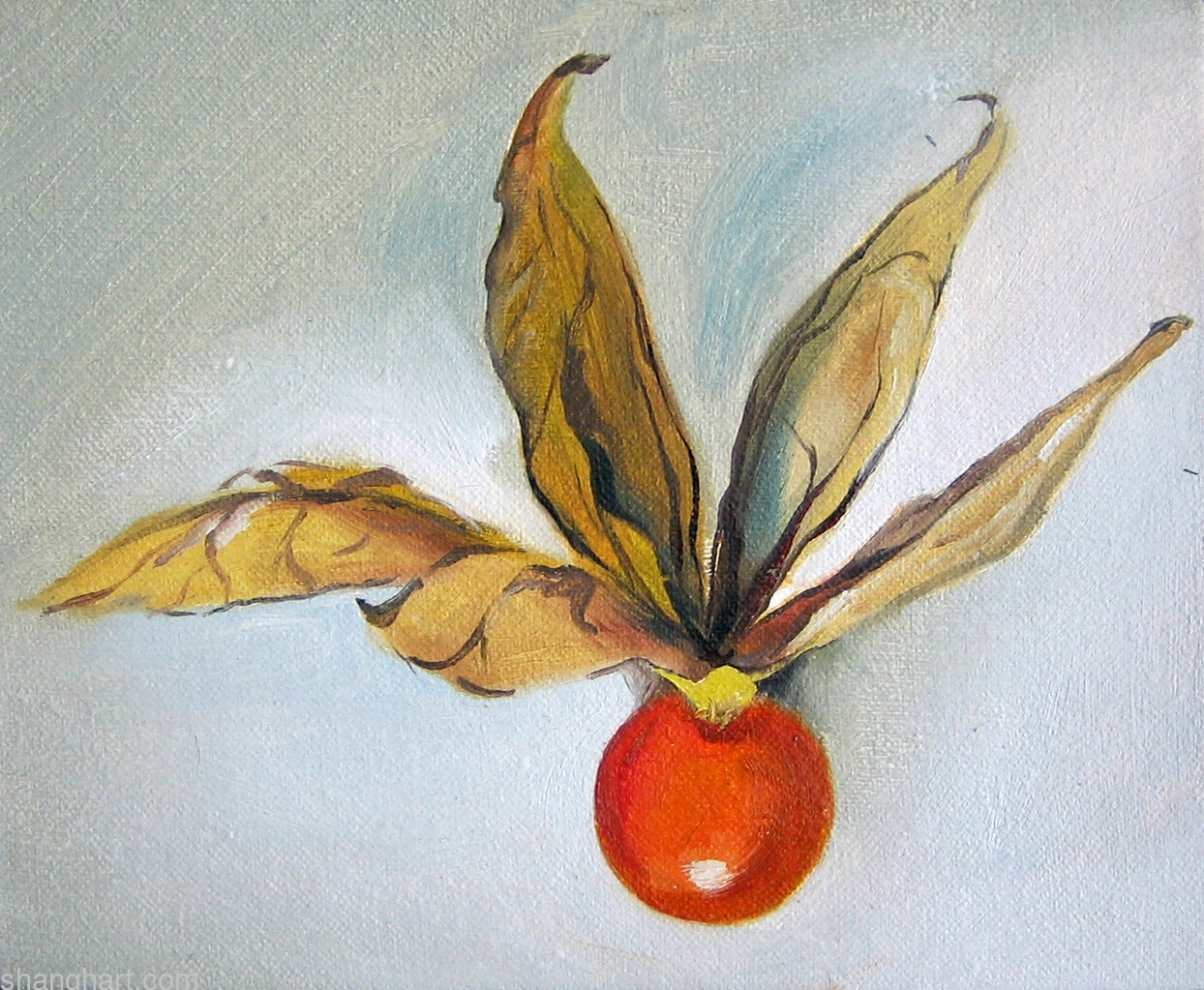 2009, 18x23cm, oil on canvas