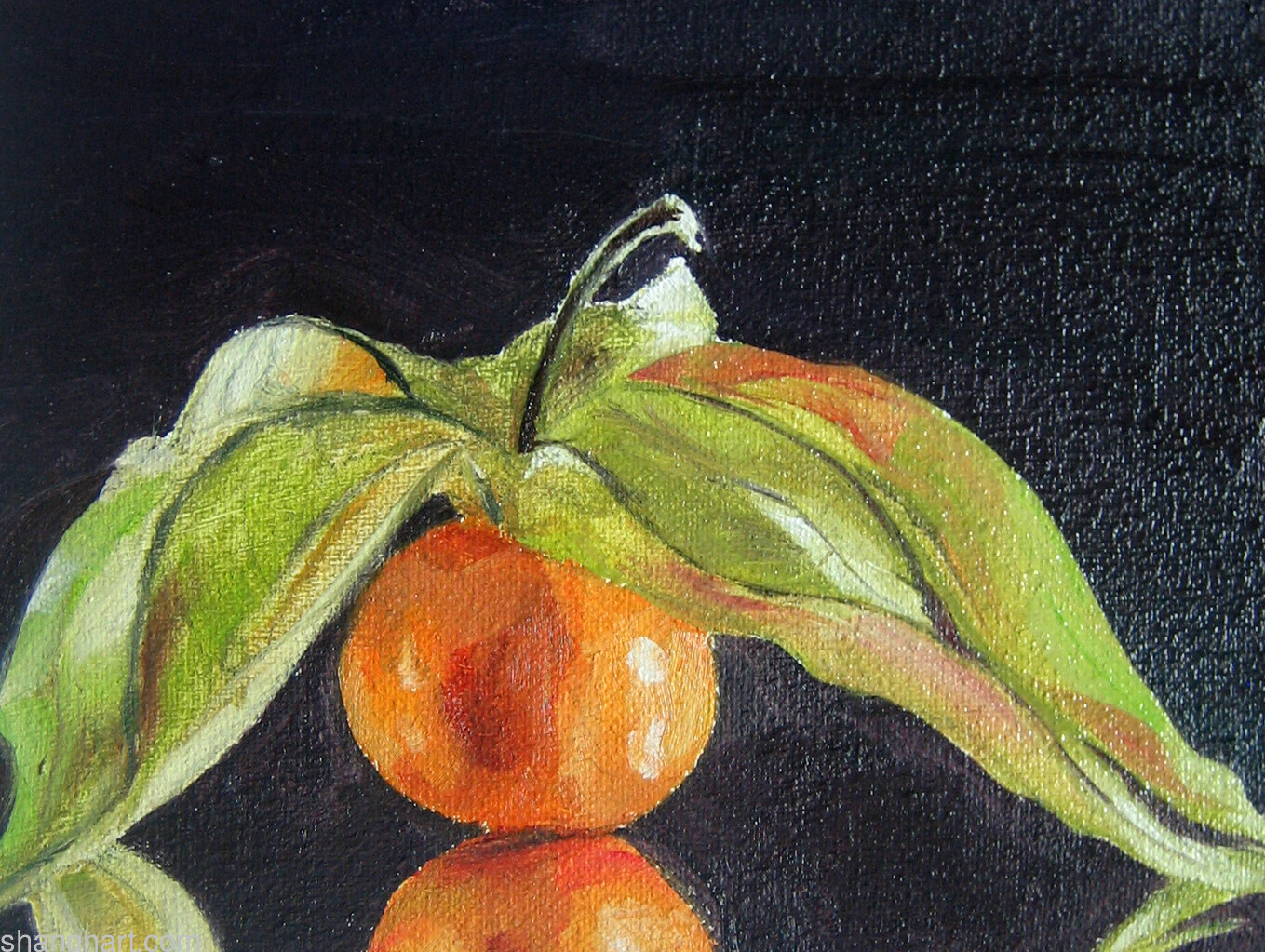 2008, 13x20cm, oil on canvas