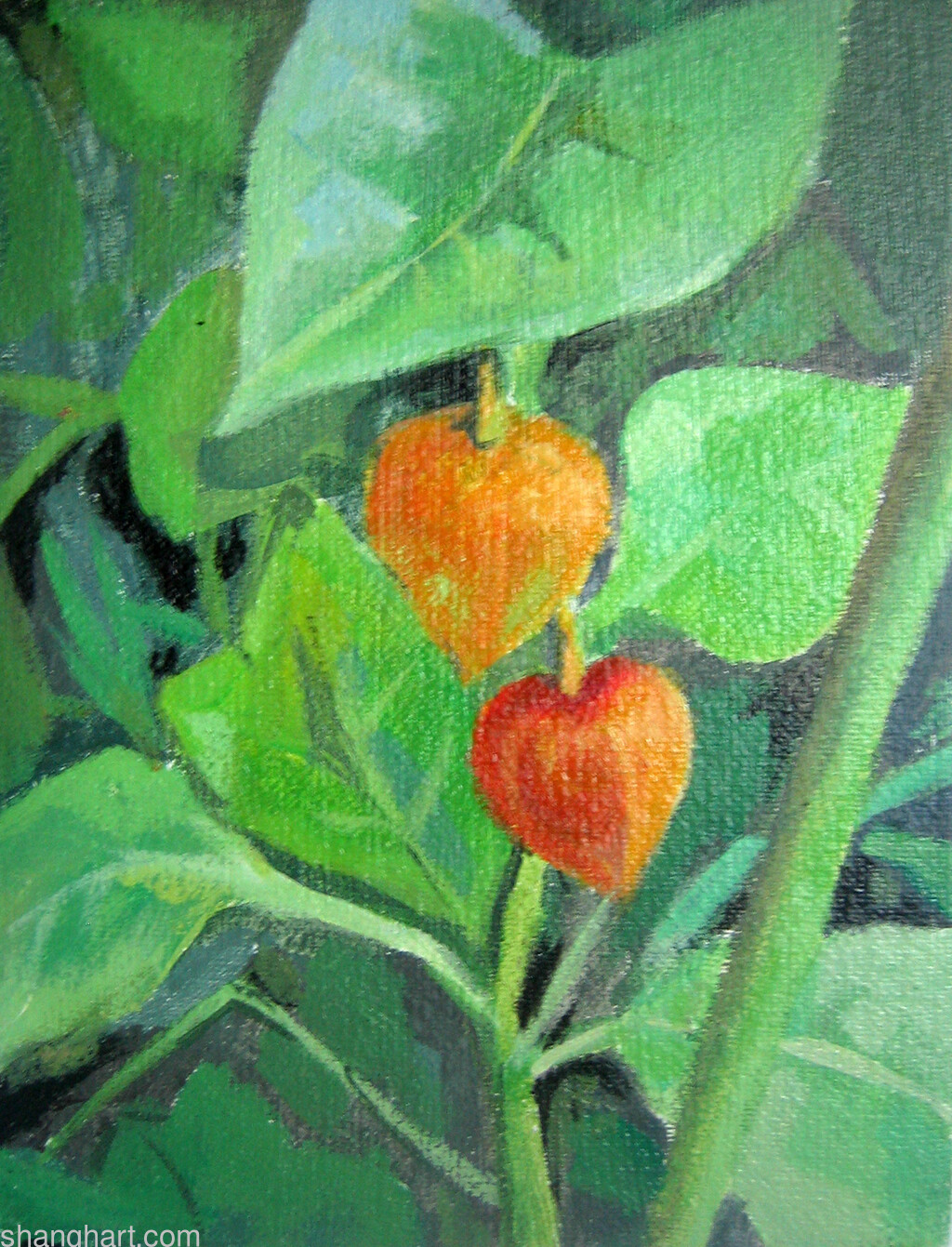 2008, 20x15cm, oil on canvas