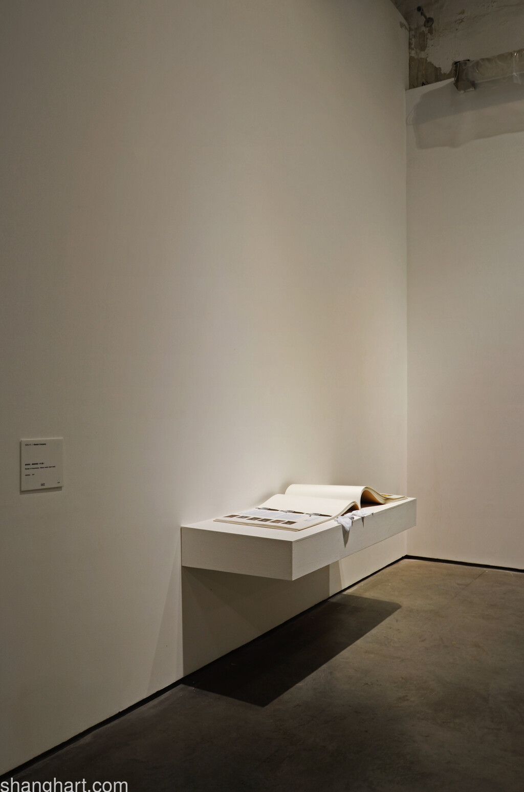 Physique of Consciousness, museum manual (hand-made)
