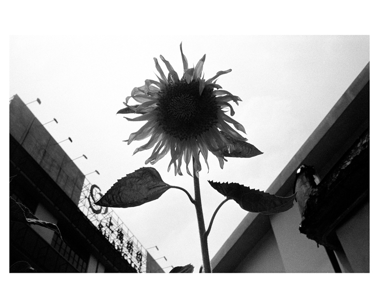 135_bw_5495_11