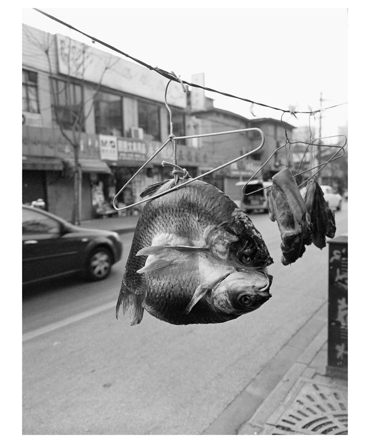 ST120BW09068_0007