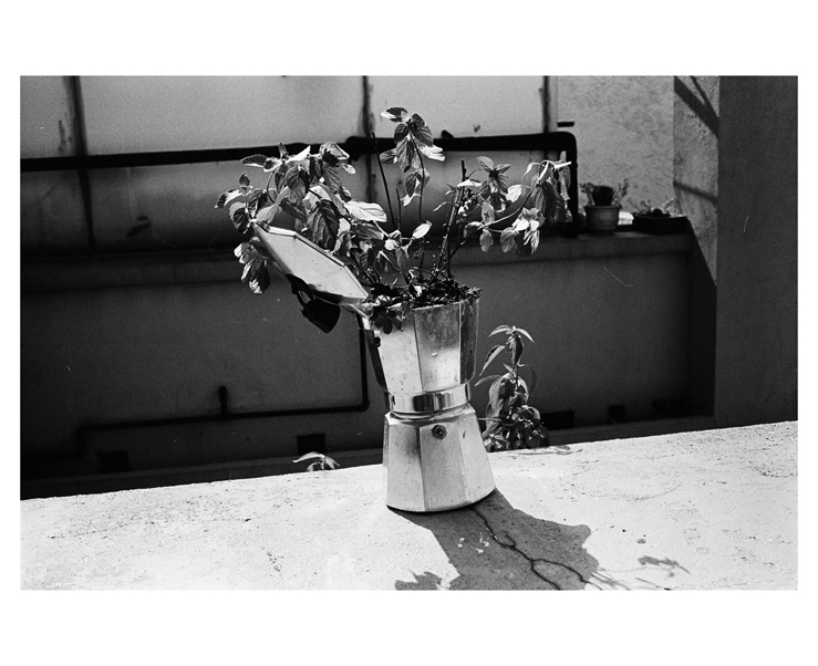 135_bw_5483_23