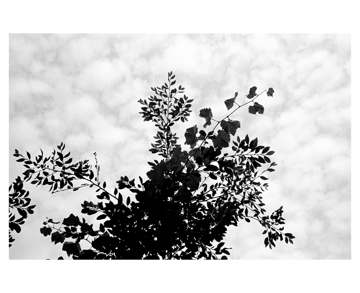 135_bw_5494_37