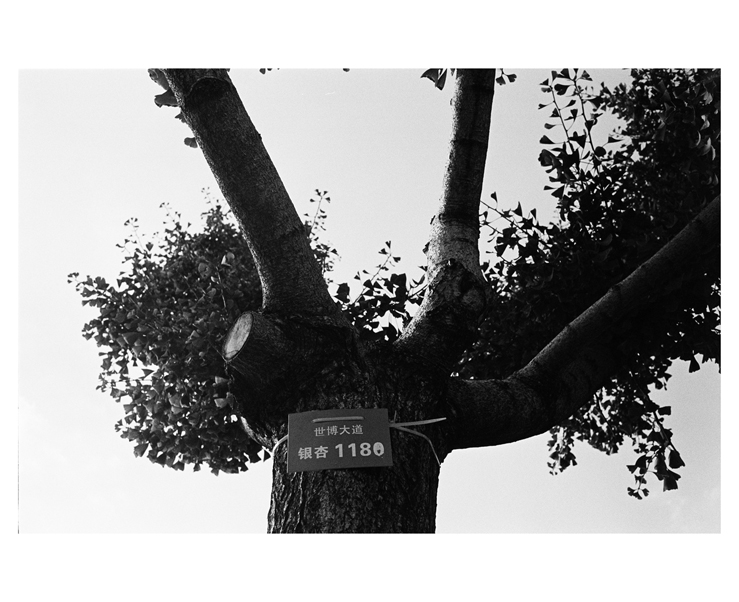 135_bw_5488_13