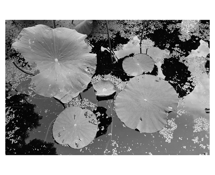 ST120BW09097_0006