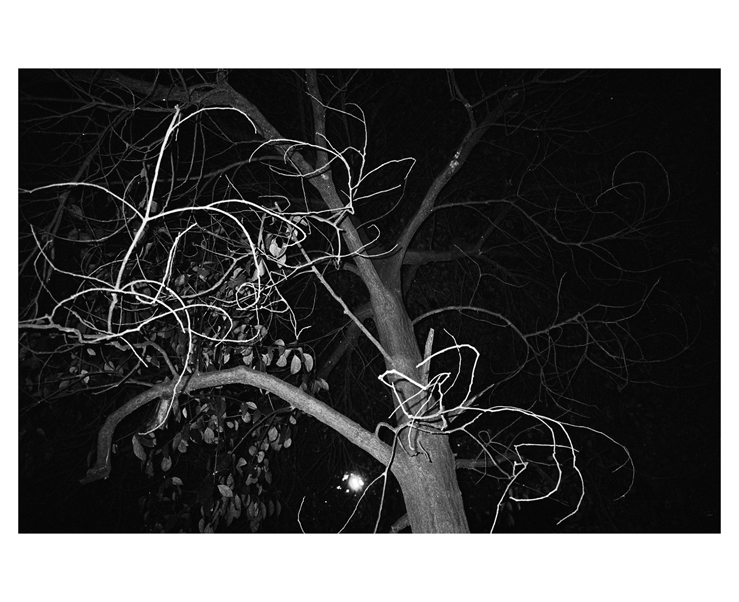 135_bw_5497_36