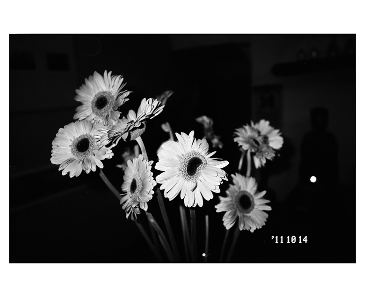 135_bw_5480_19