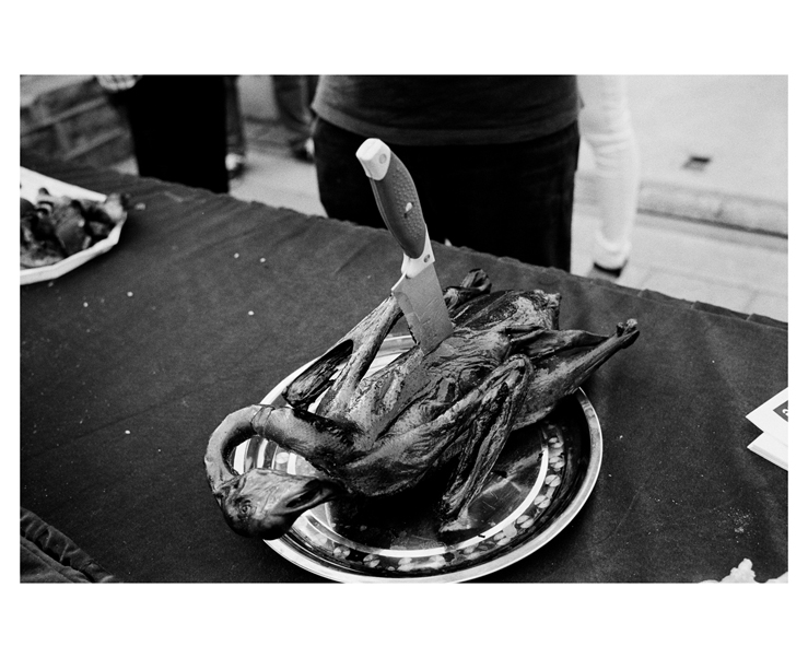 135_bw_5431_17
