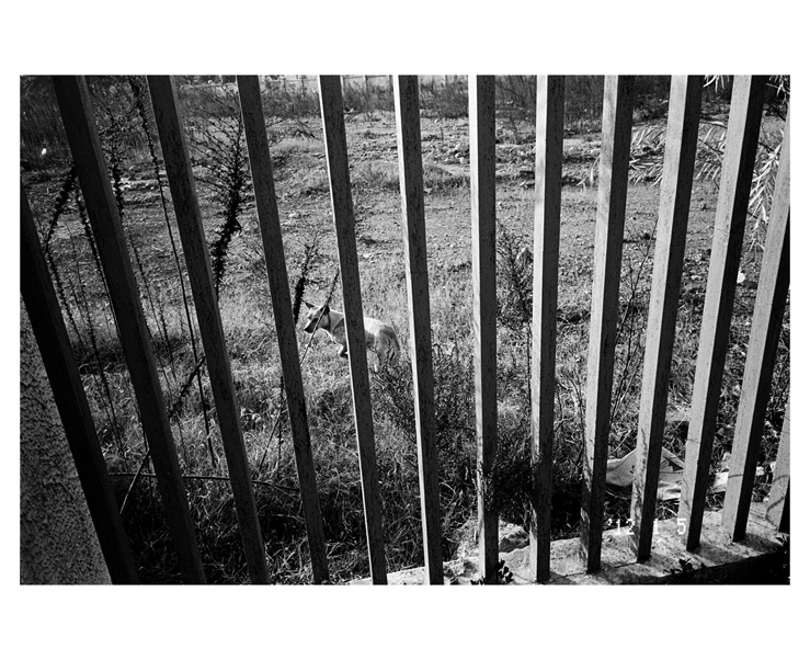 135_bw_5500_33