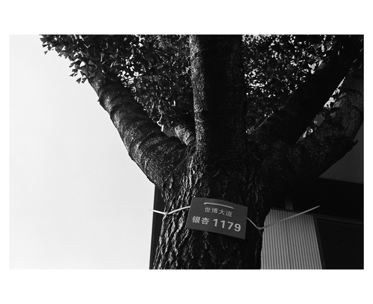 135_bw_5488_12