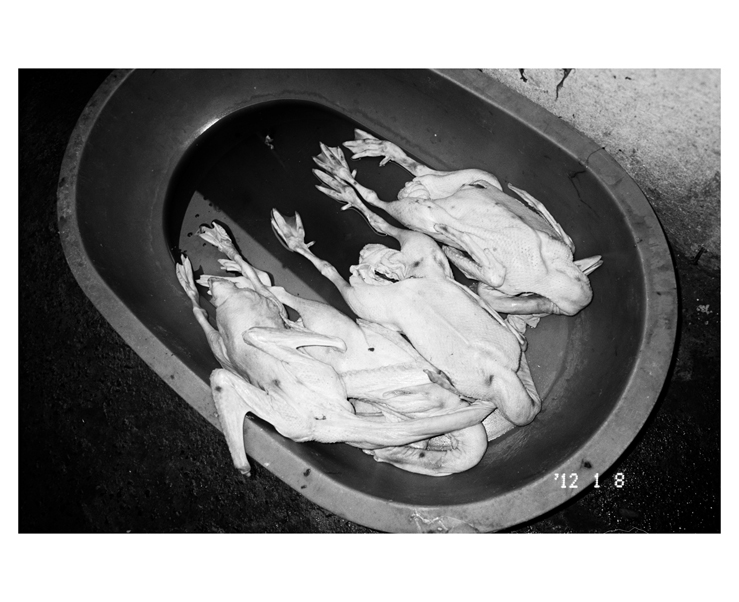135_bw_5501_34