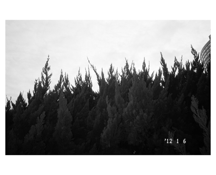 135_bw_5501_10