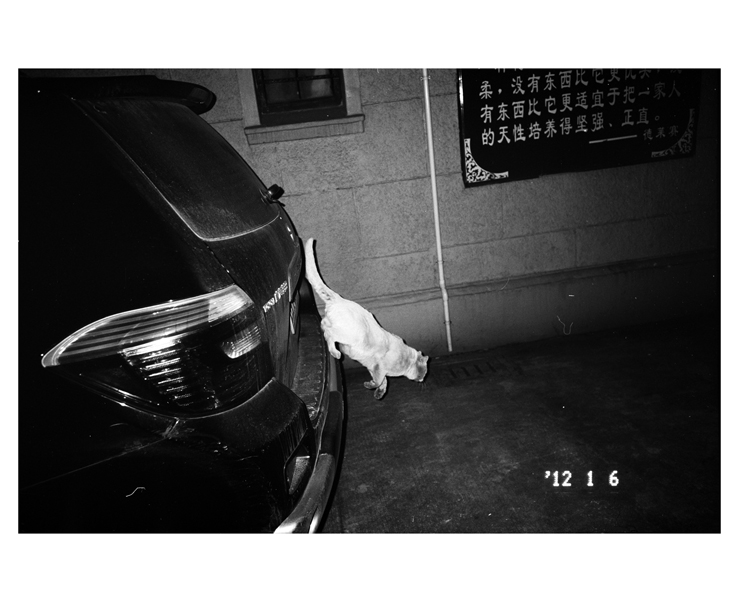 135_bw_5501_13