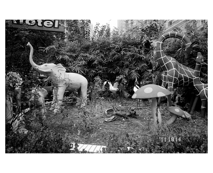 135_bw_5480_23