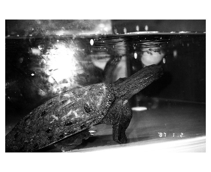 135_bw_5498_13