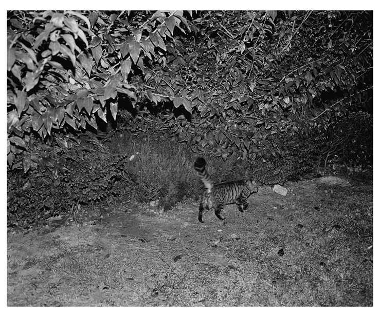 67_bw_0217_02