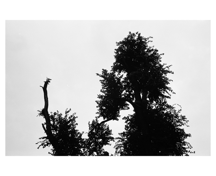 135_bw_5476_22