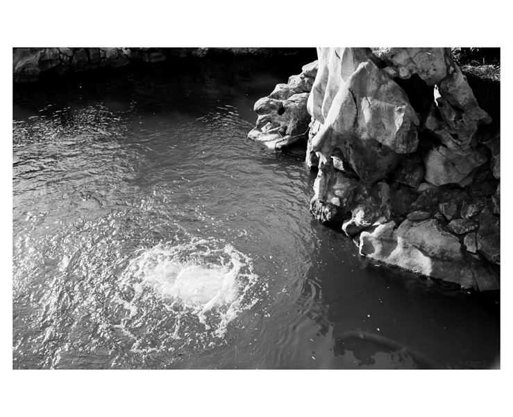 135_bw_5466_15