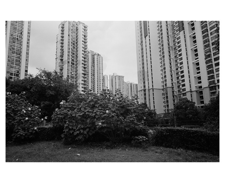 ST120BW11021