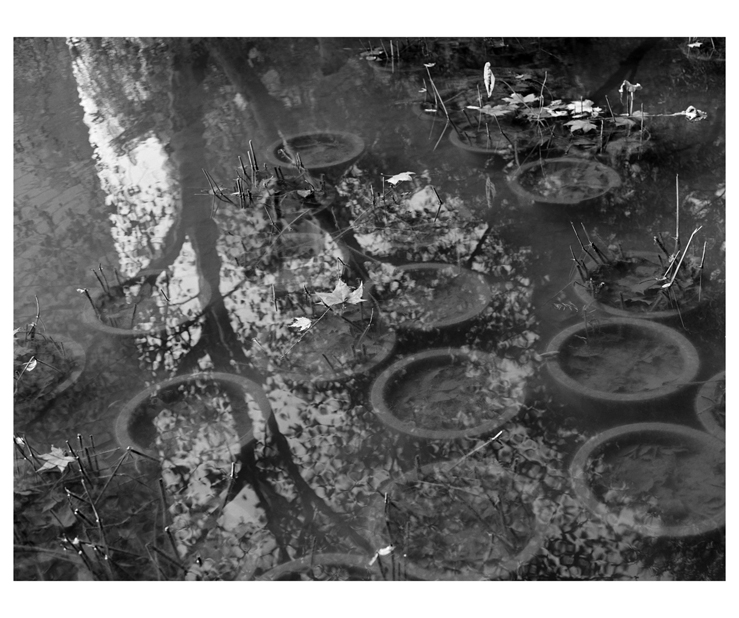ST120BW11046_0002