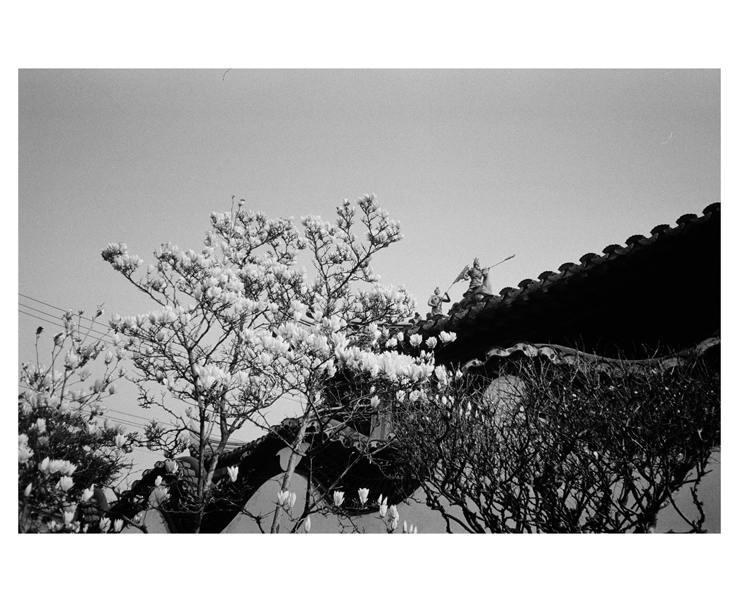 4552_0013