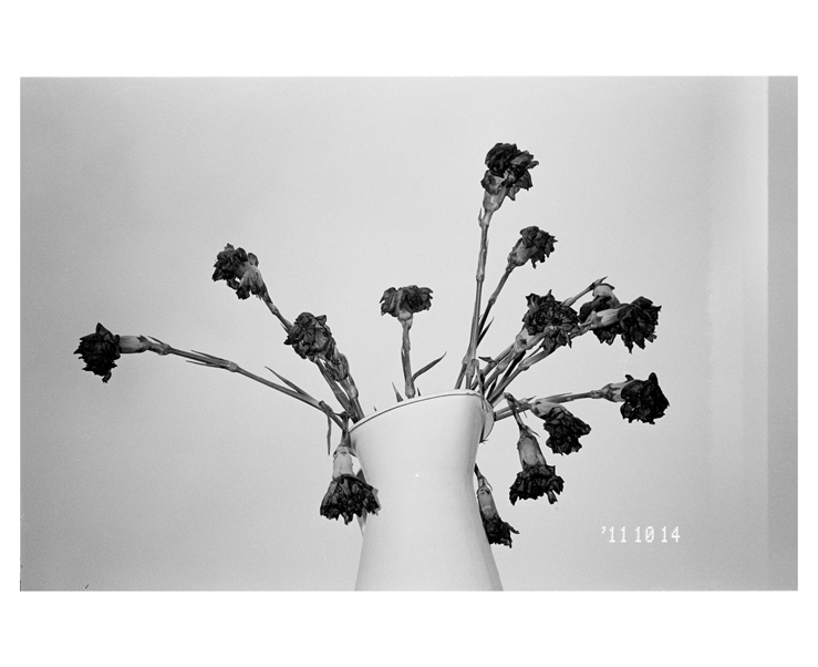 135_bw_5480_24