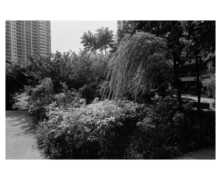 ST120BW11002_0003