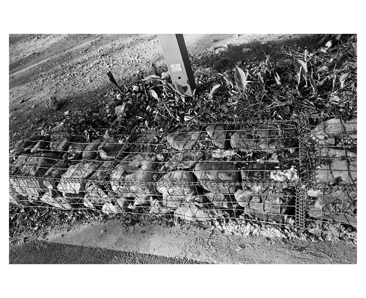 ST120BW11010_0006