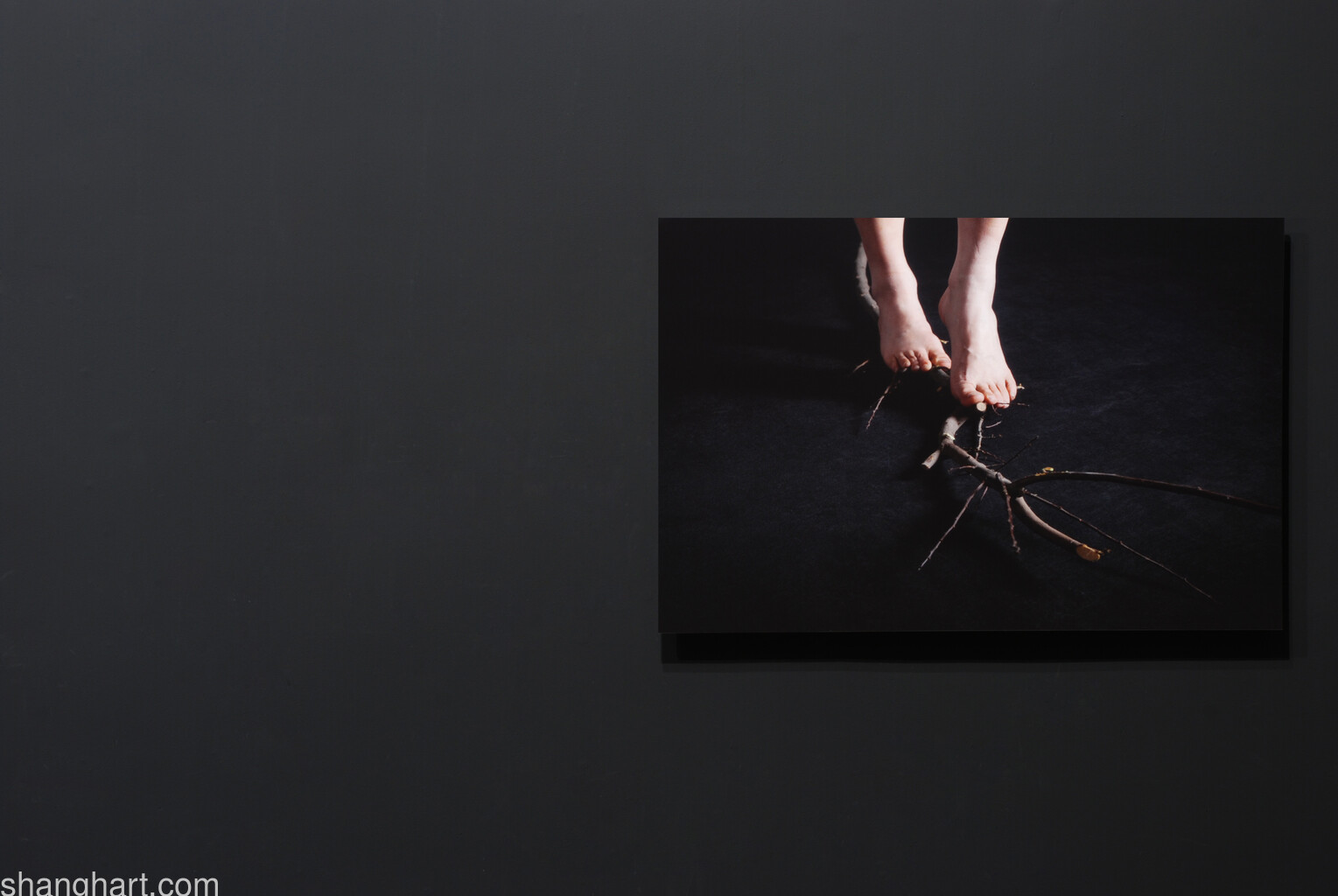 Installation view__Courtesy ShanghART and the artist