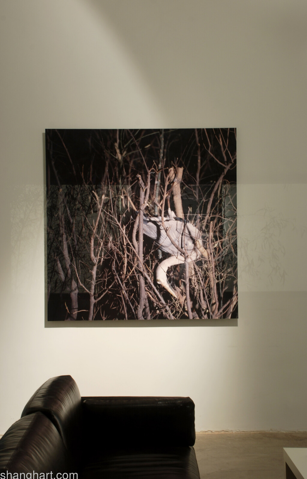 Installation view__Courtesy ShanghART and the artist