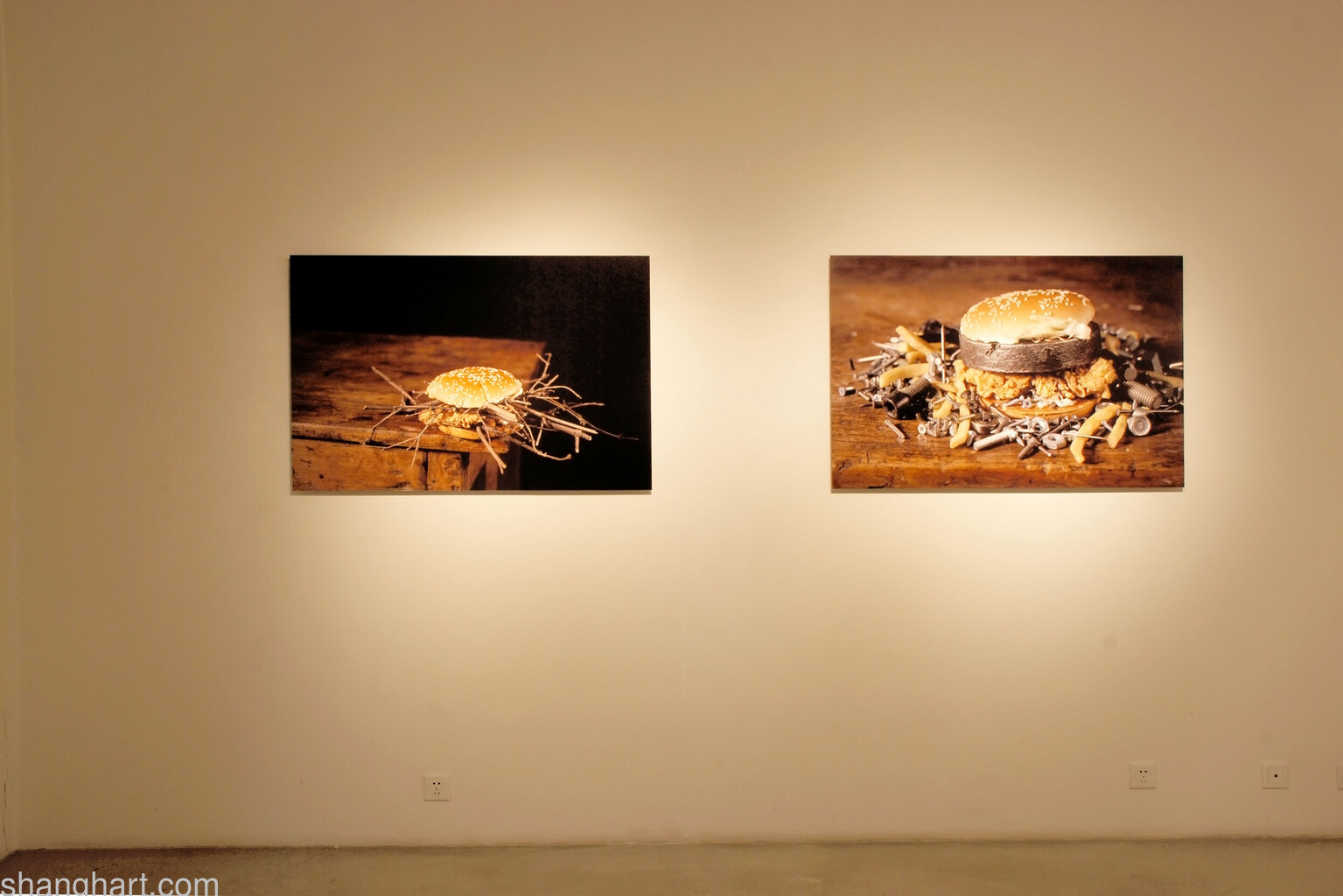 Installation view__Courtesy ShanghART and the artist