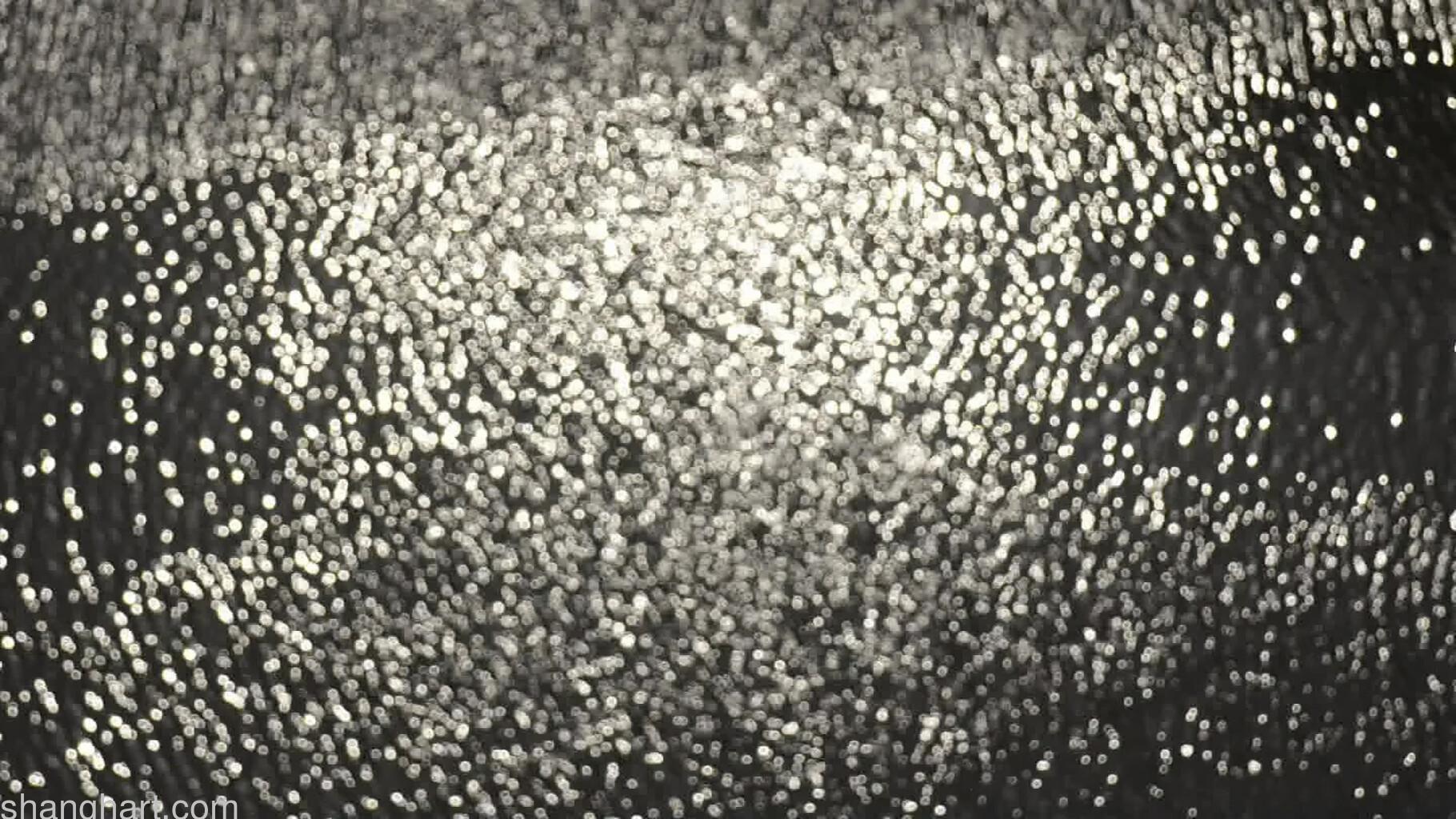 Still Image