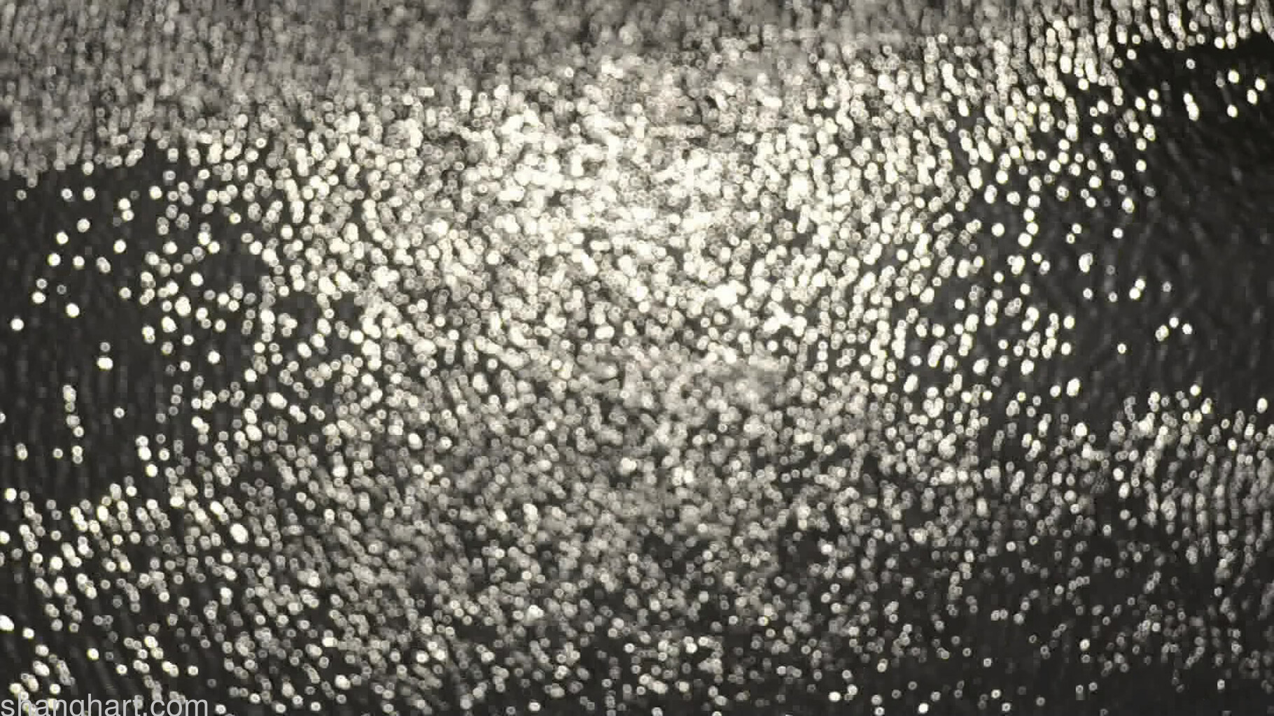Still Image