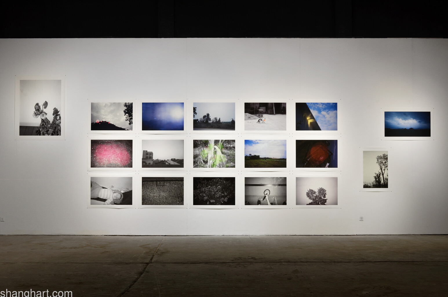 Installation view