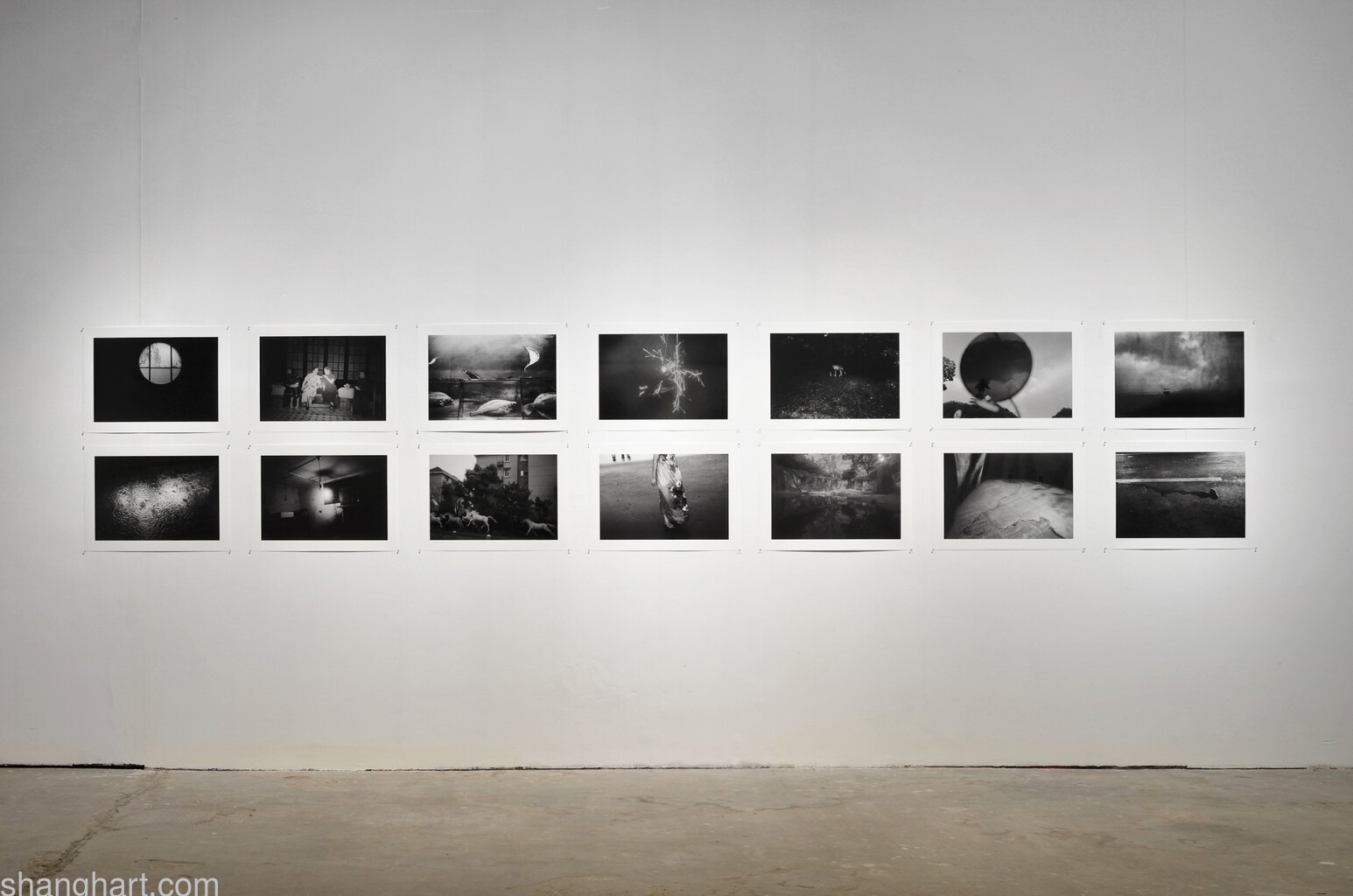 Installation view