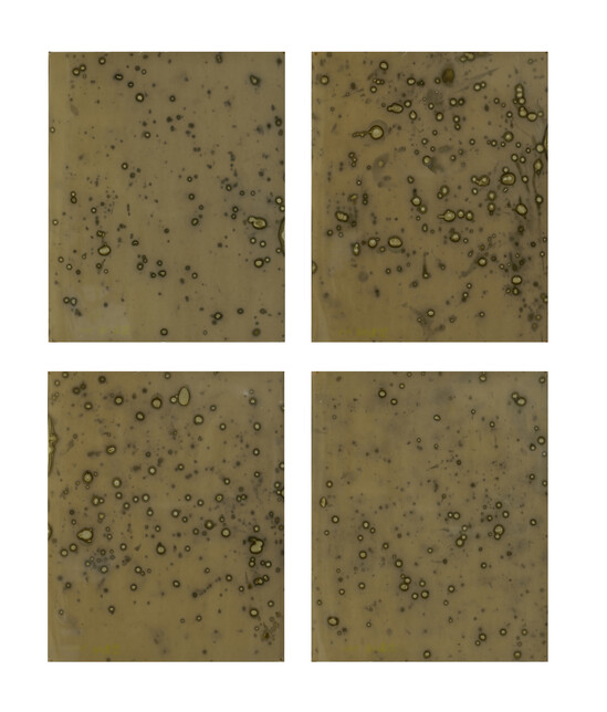 GJY_4643