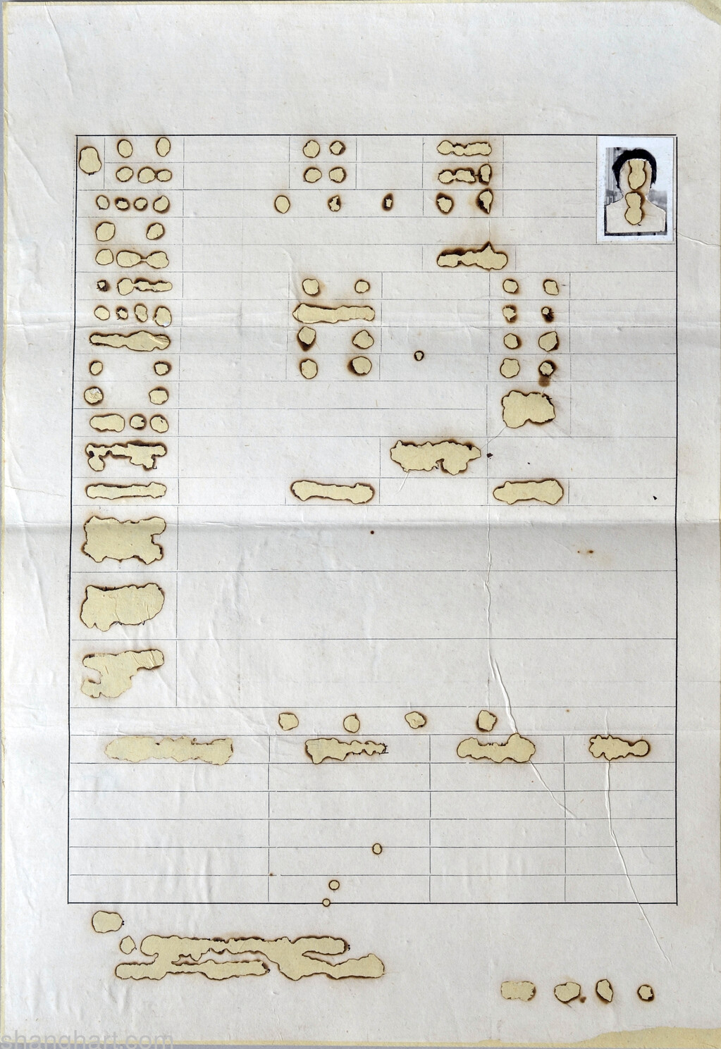 39.0x27.0cm