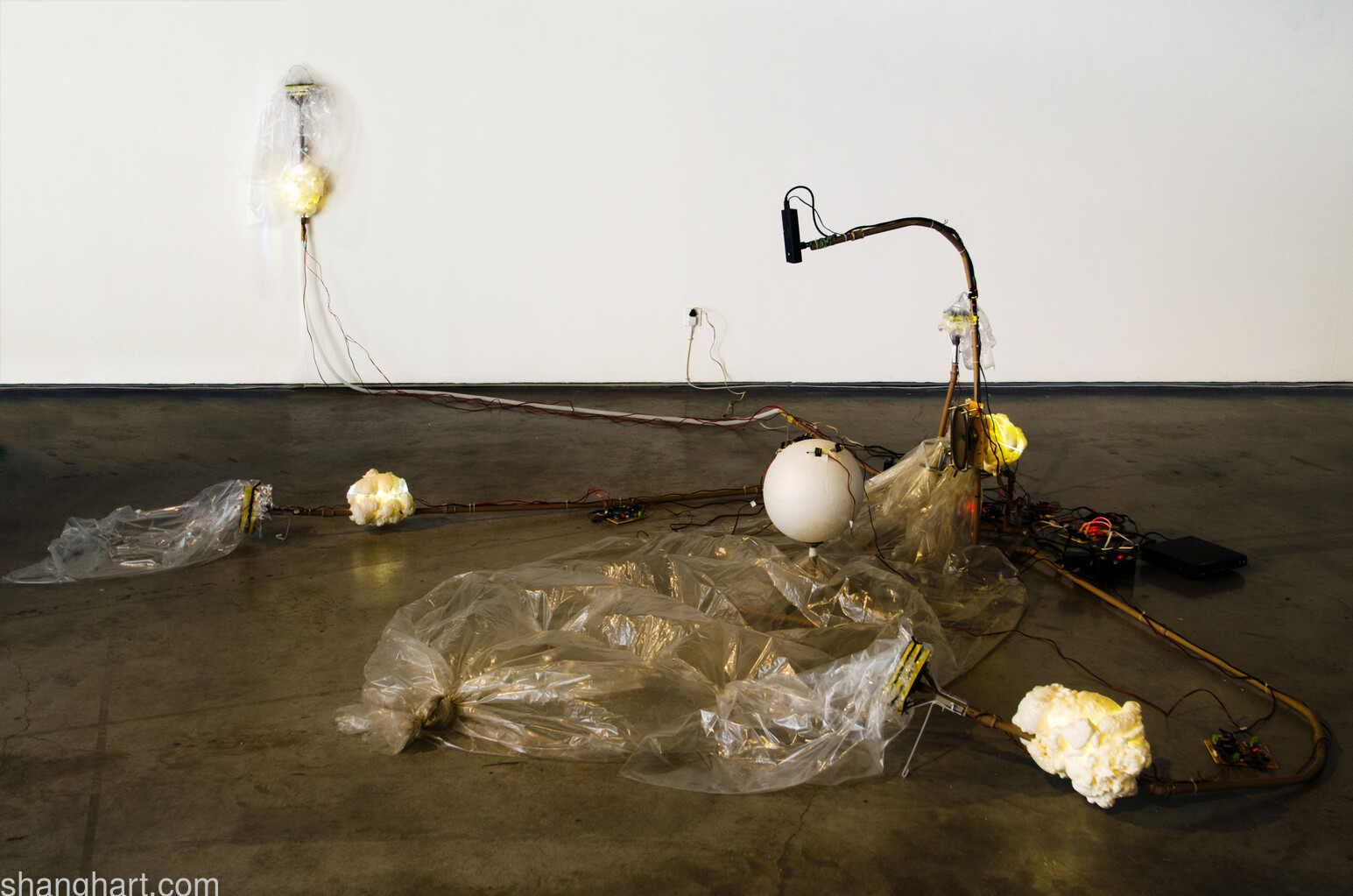 Mariana Manheas, Installation view