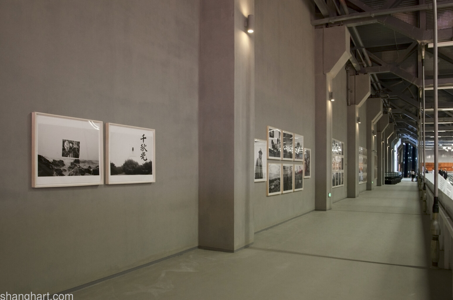 Installation view of BIRD HEAD  Shanghai Biennle 2012