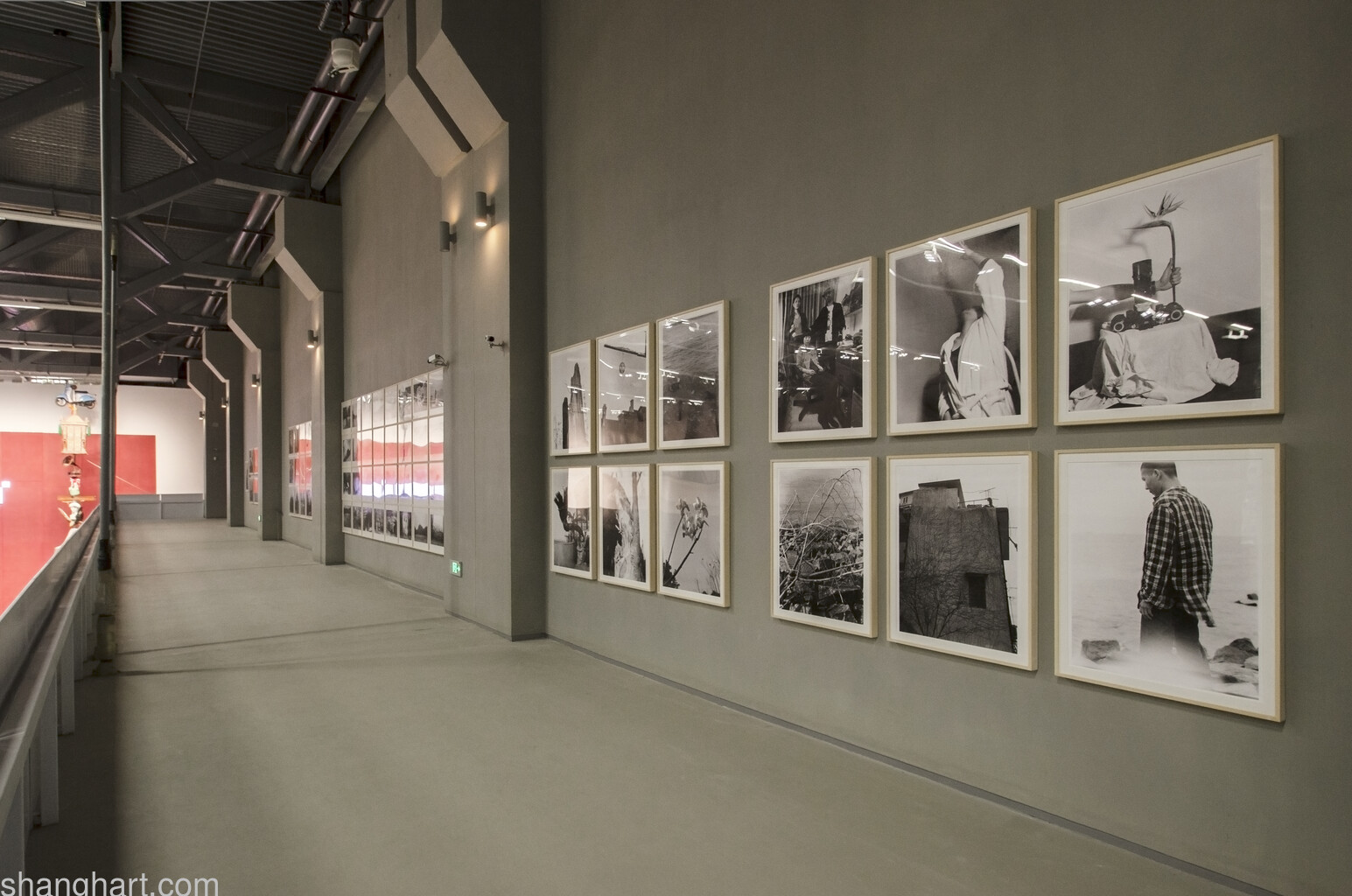 Installation view of BIRD HEAD  Shanghai Biennle 2012