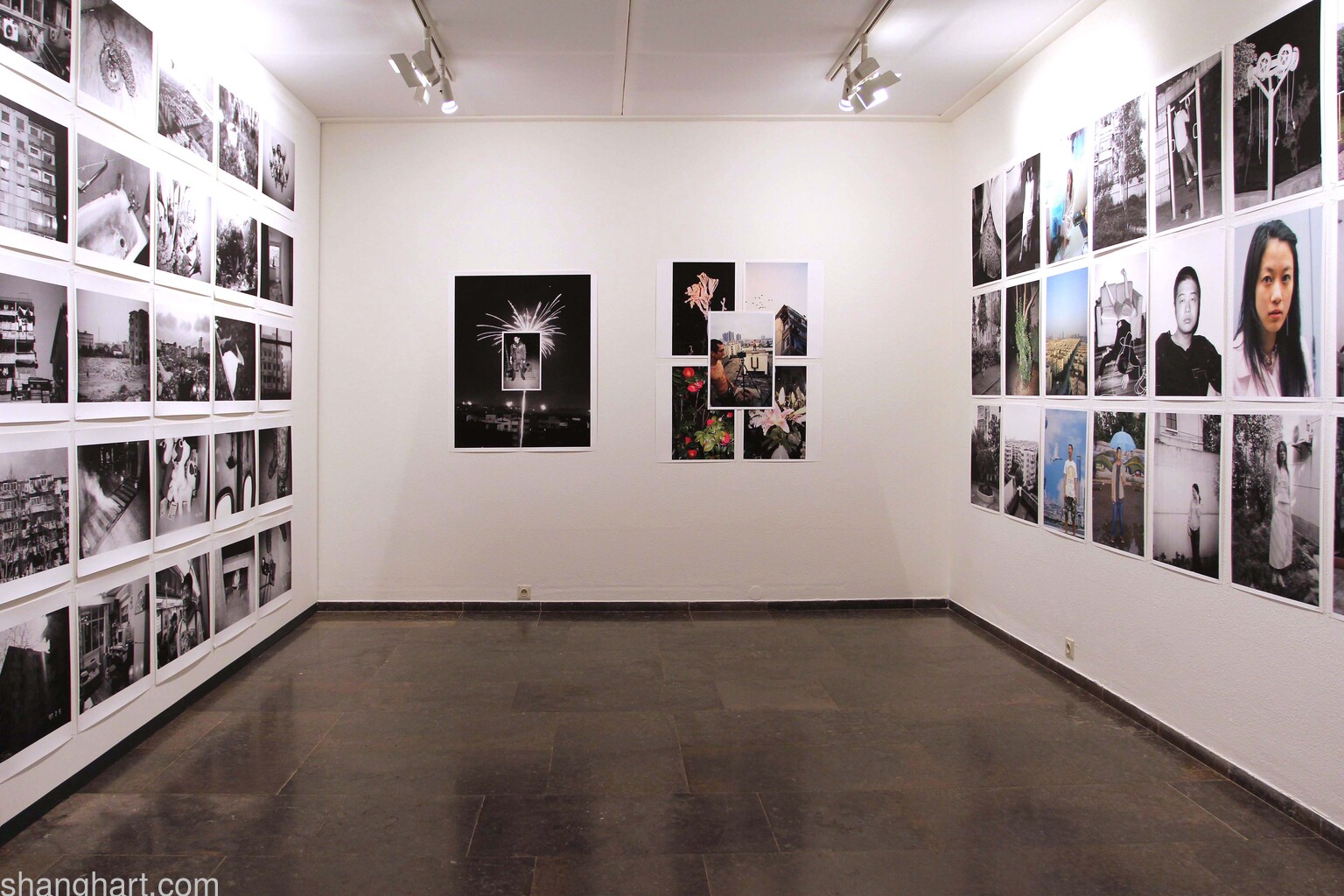 Photographs by Bird Head
