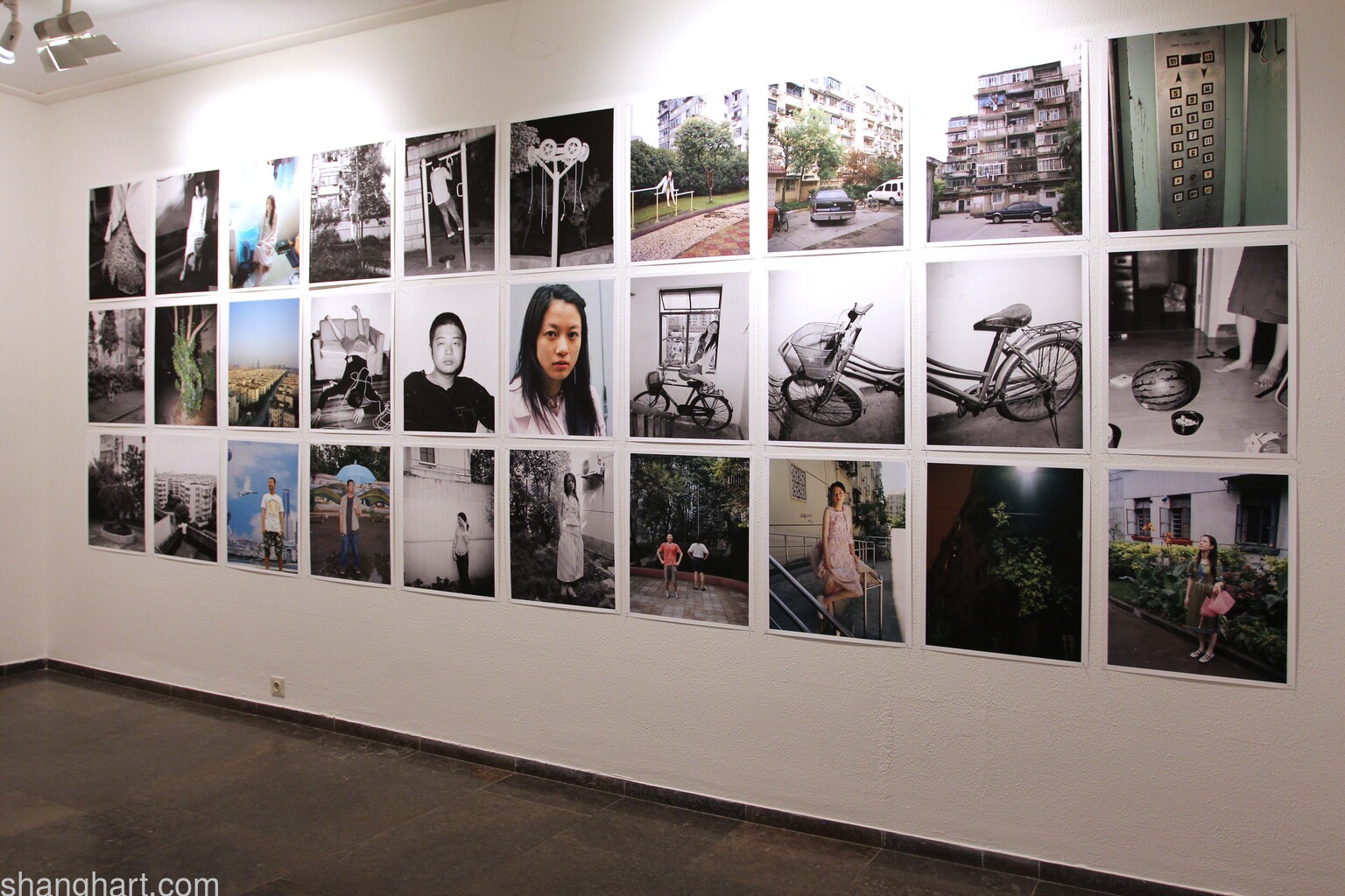 Photographs by Bird Head