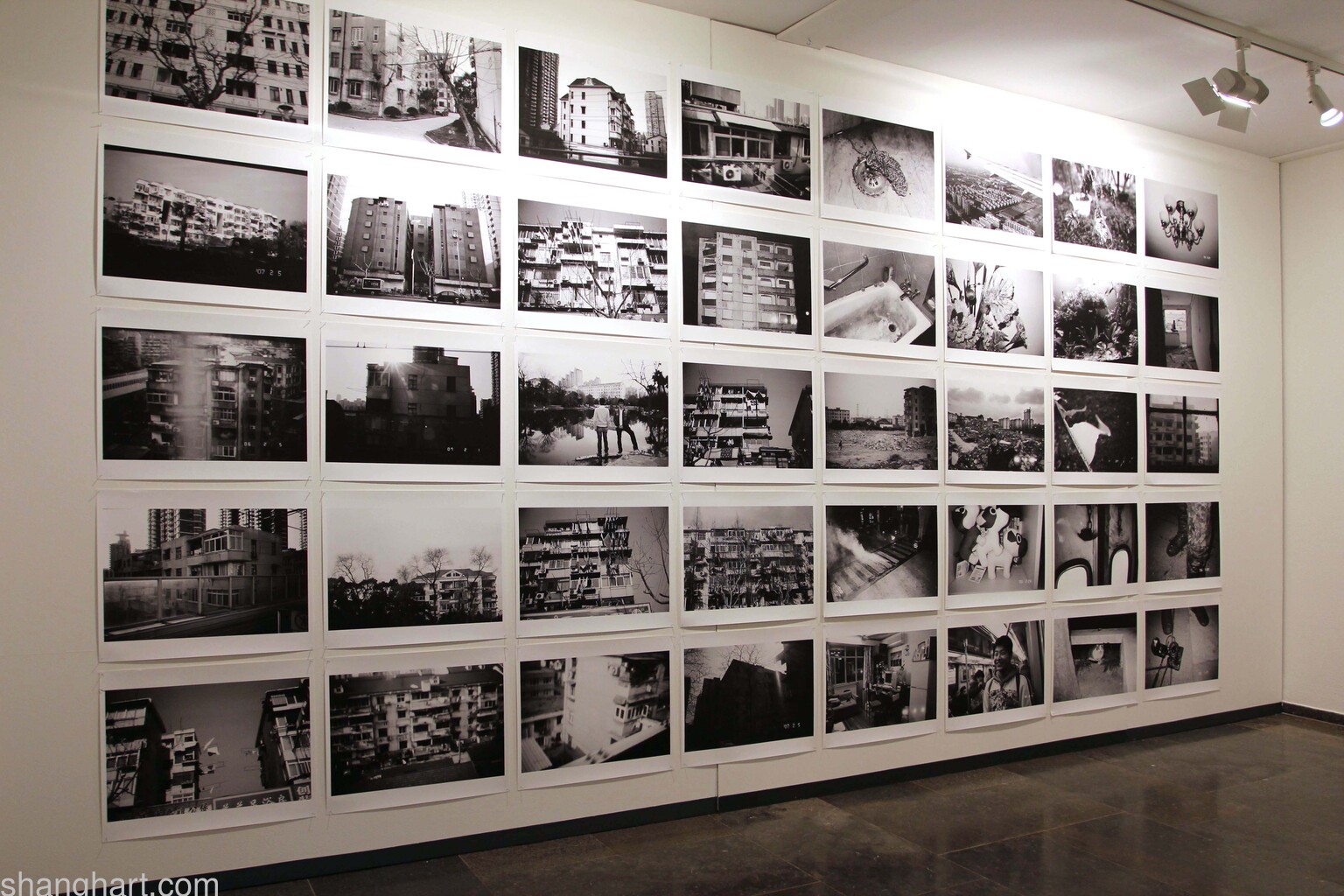 Photographs by Bird Head