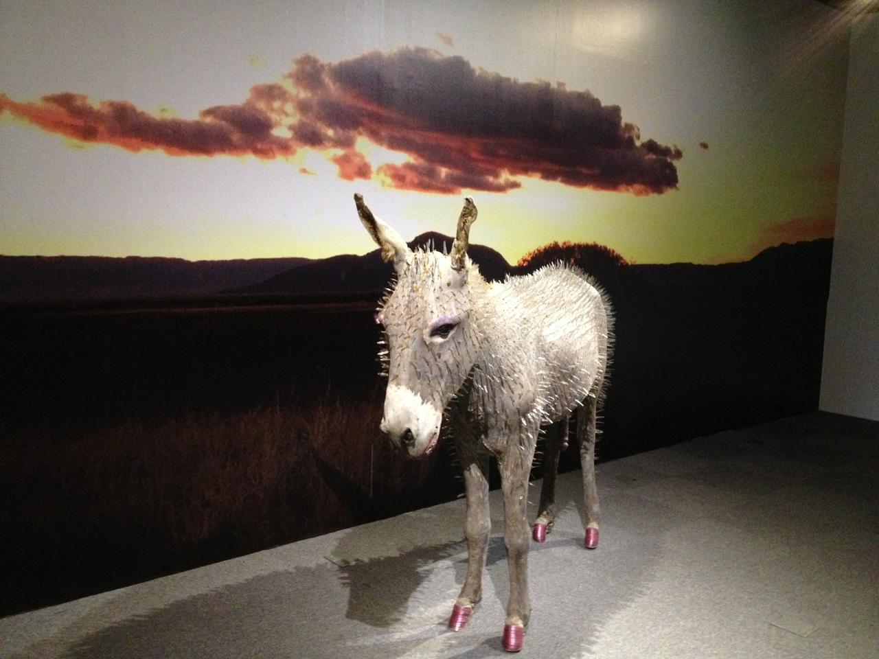 Sign From Junggar-Stuffed Animals, Donkey Specimens、Draganfly Specimens, 2005